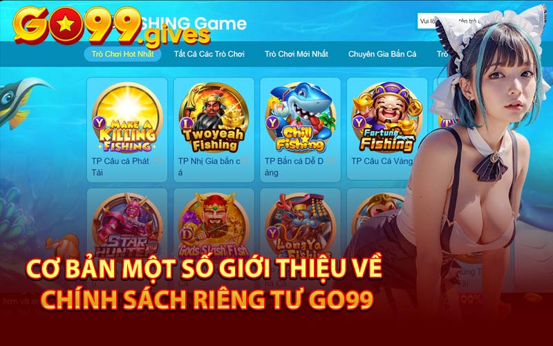 Cơ Bản Một Số Giới Thiệu Về Chính Sách Riêng Tư GO99