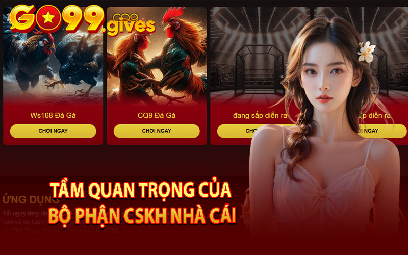 Tầm Quan Trọng Của Bộ Phận CSKH Nhà Cái