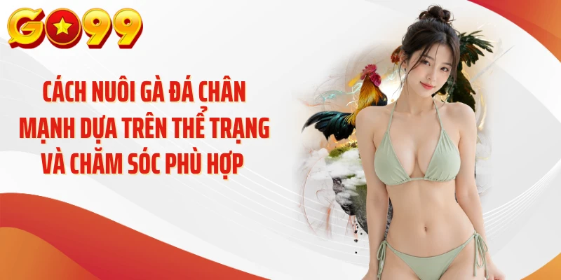 Cách Nuôi Gà Đá Chân Mạnh: Bí Quyết Tăng Lực Hiệu Quả 2 Cách nuôi gà đá chân mạnh dựa trên thể trạng và chăm sóc phù hợp