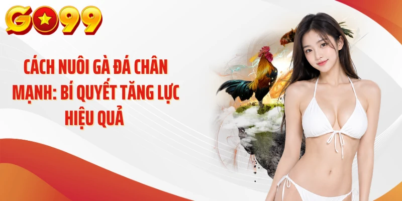 Cách Nuôi Gà Đá Chân Mạnh: Bí Quyết Tăng Lực Hiệu Quả 