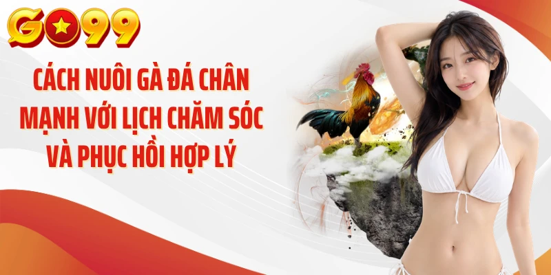 Cách Nuôi Gà Đá Chân Mạnh: Bí Quyết Tăng Lực Hiệu Quả 4 Cách nuôi gà đá chân mạnh với lịch chăm sóc và phục hồi hợp lý