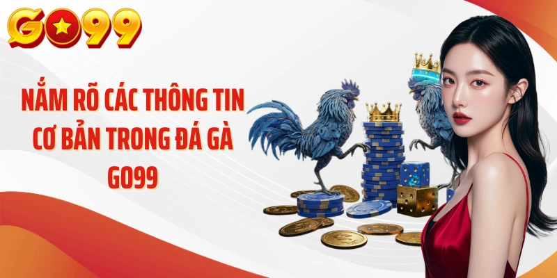 Nắm rõ các thông tin cơ bản trong đá gà Go99