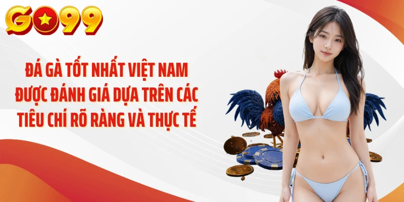Đá gà tốt nhất Việt Nam được đánh giá dựa trên các tiêu chí rõ ràng và thực tế