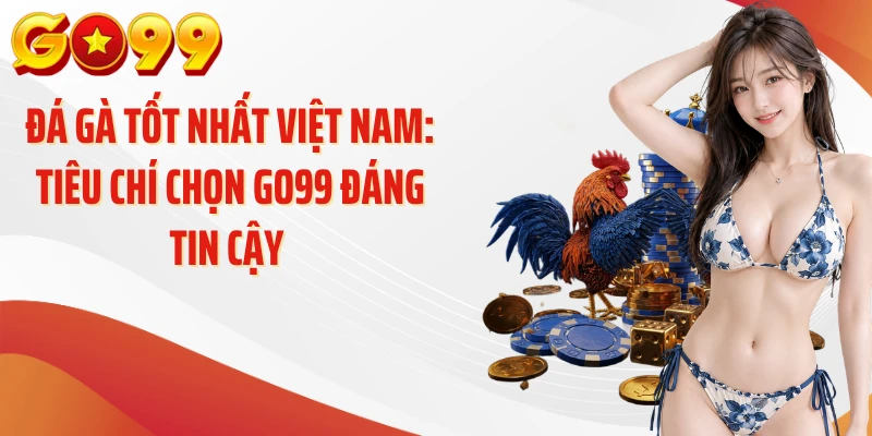 Đá Gà Tốt Nhất Việt Nam: Tiêu Chí Chọn GO99 Đáng Tin Cậy 