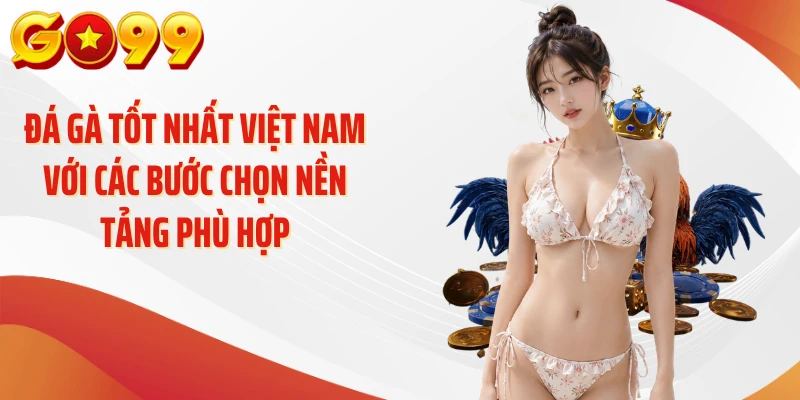 Đá gà tốt nhất Việt Nam với các bước chọn nền tảng phù hợp
